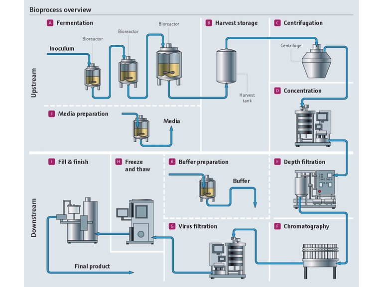 Process map of upstream and downstream biopharmaceutical process operations Overview process map of upstream and downstream bioprocessing
