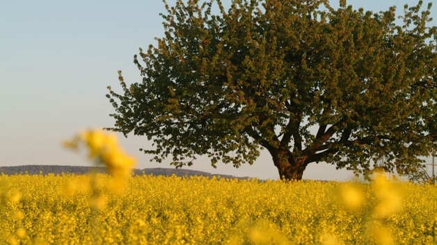 For us, economic growth goes hand-in-hand with ecological and social thinking.