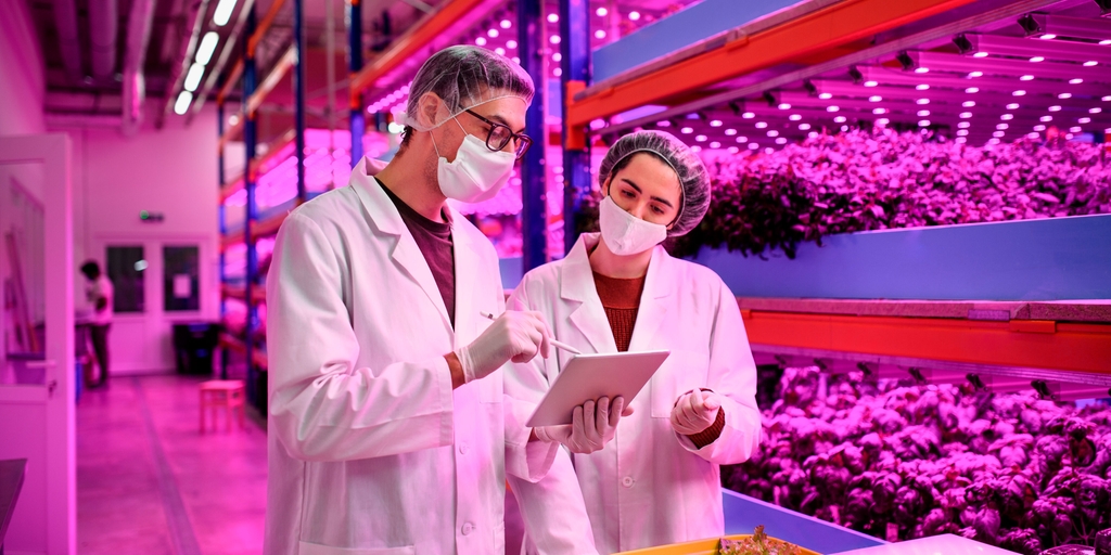 pH and conductivity measurement in a smart vertical farming plants guarantees best product yield