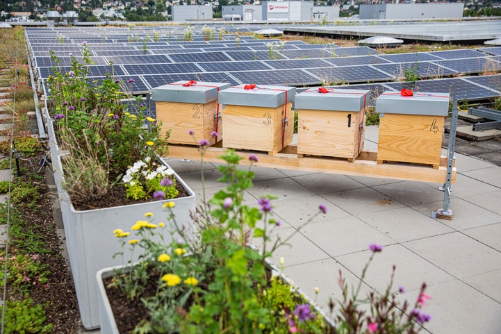 The roof of Endress+Hauser Flow is home to several of the company's own honey bee colonies